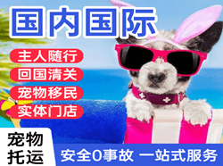 哈尔滨平房航空快运国际宠物托运 【国